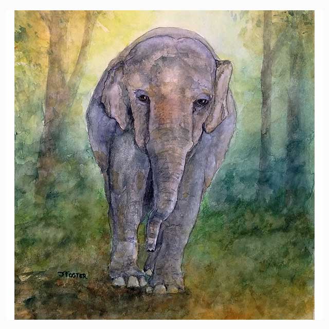 Elephant watercolor painting