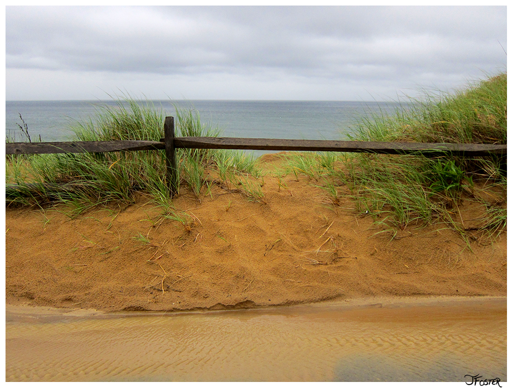 Cape Code sand dune fence  | Photo by Jackie Foster