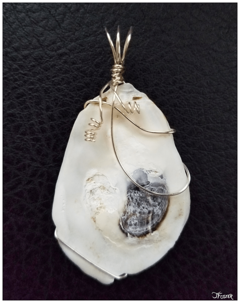 Wire wrapped oyster shell | Assemblage by Jackie Foster