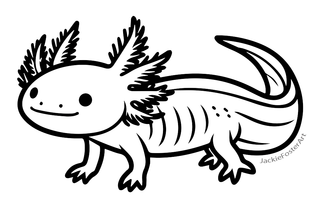 Axolotl outline art