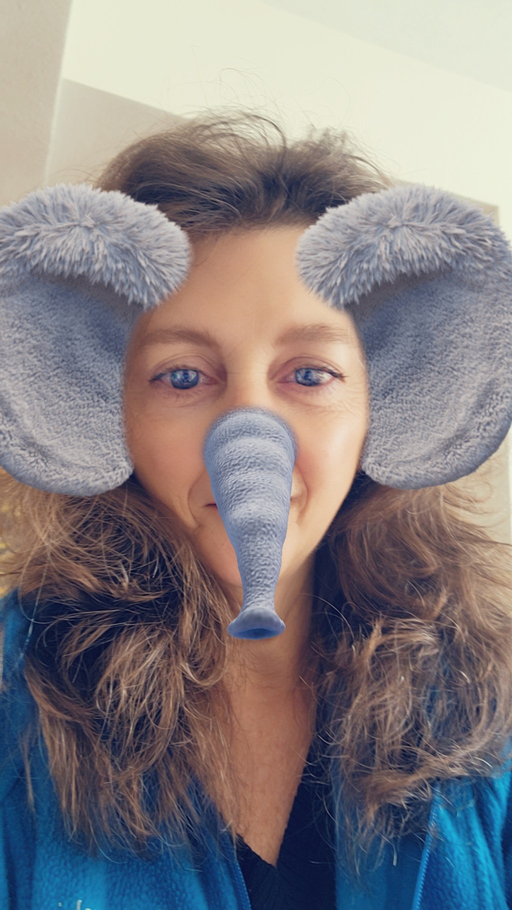 Elephant Trunks: Nature’s Ultimate&nbsp;Multitool