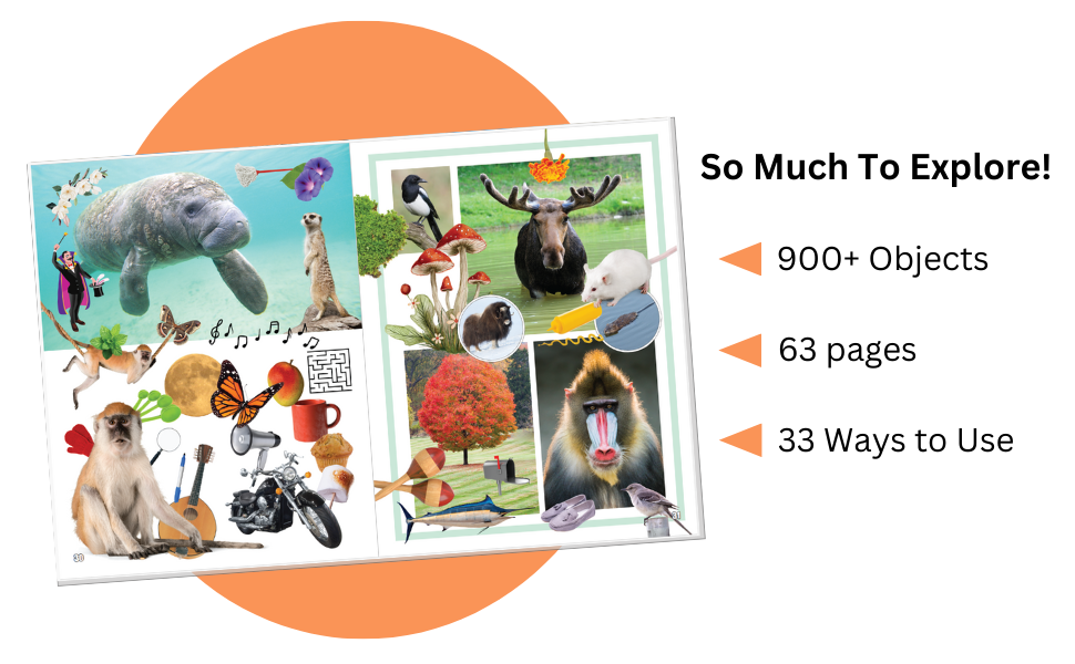 Visual Wonderland contains so much to explore