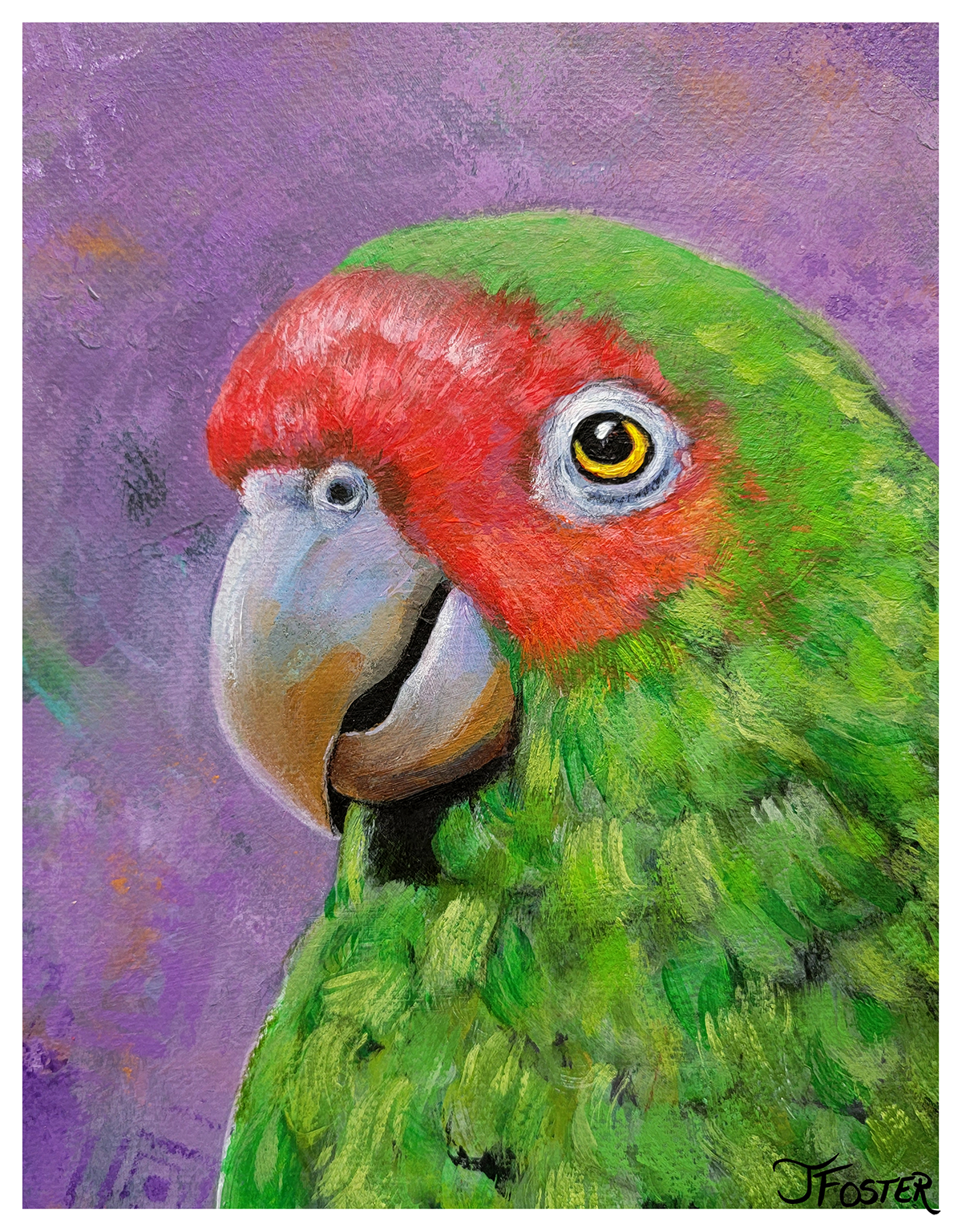 Red-Crowned Amazon Is Not Actually From the Amazon