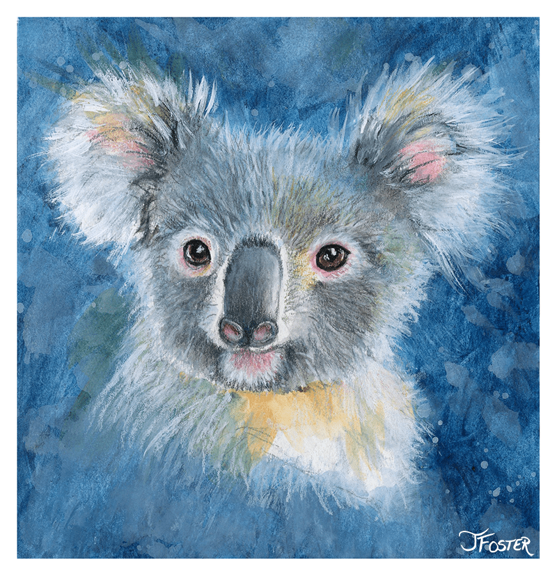 Koala Art Process from Sketch to Finish