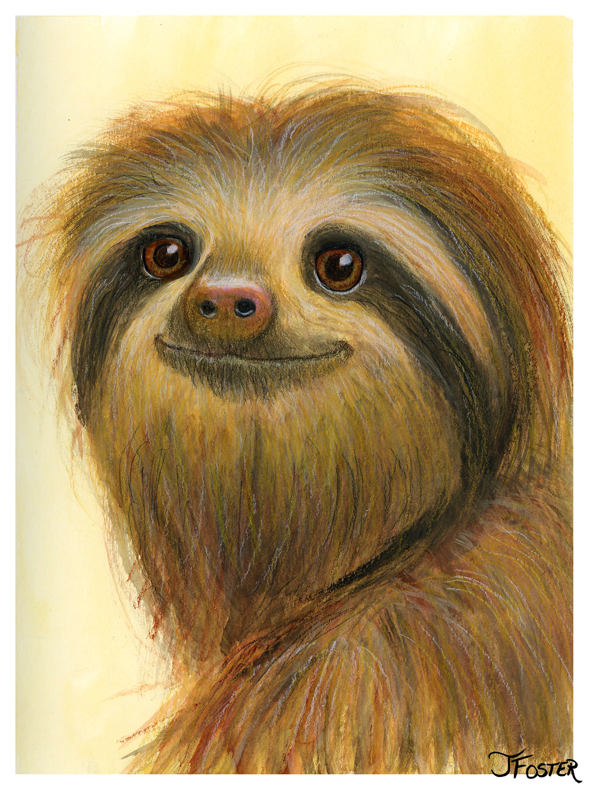 Sloth mixed-media painting | Jackie Foster Art