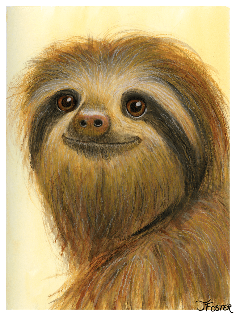 Sloth mixed-media painting | Jackie Foster Art