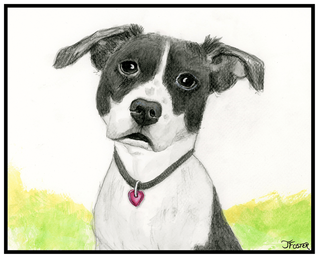 Painting Winnie the Shelter&nbsp;Dog