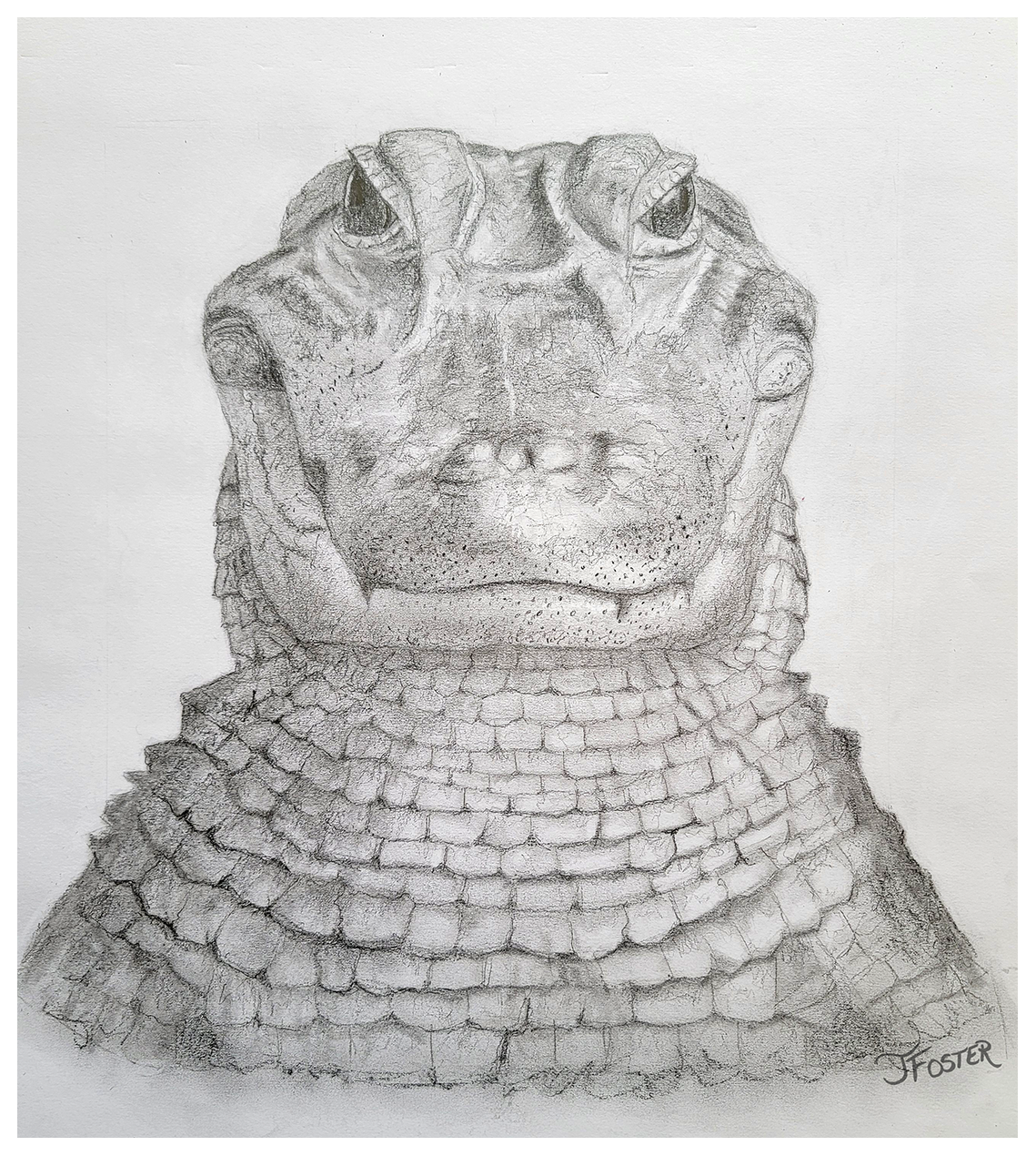 Gator Grin
