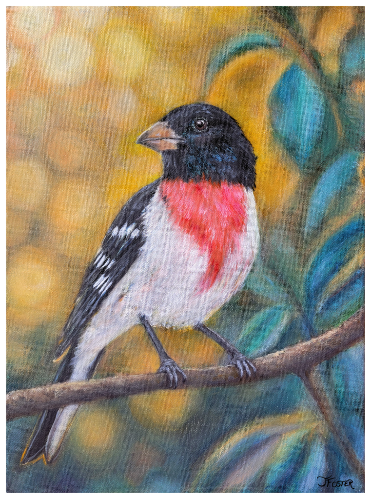 Rose-breasted grosbeak oil painting by Jackie Foster