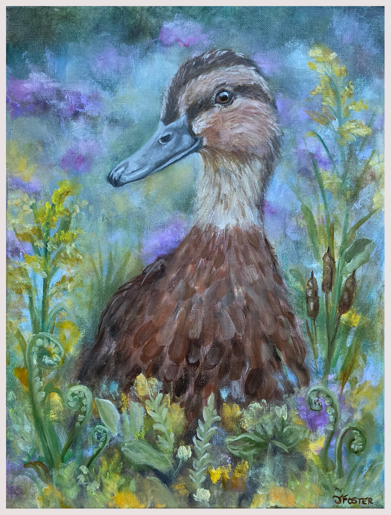 Female mallard oil painting by Jackie Foster